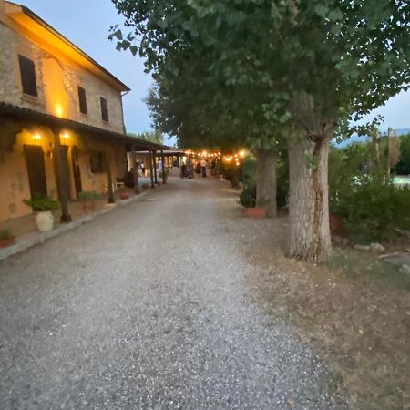 Podere Ripabianca Riparbella Eksteriør billede