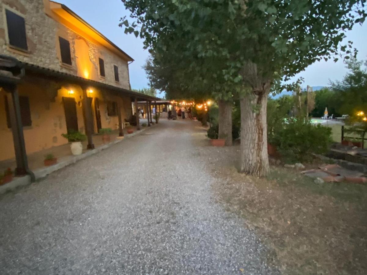 Podere Ripabianca Riparbella Eksteriør billede