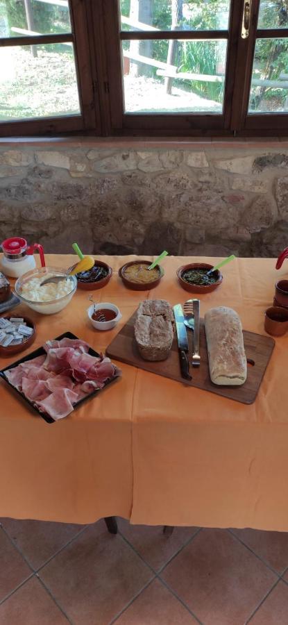 Podere Ripabianca Riparbella Eksteriør billede